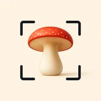 Pilze Bestimmen App: Fungi ID