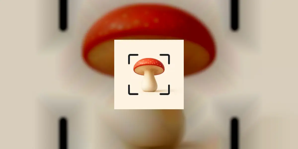 Pilze Bestimmen App: Fungi ID